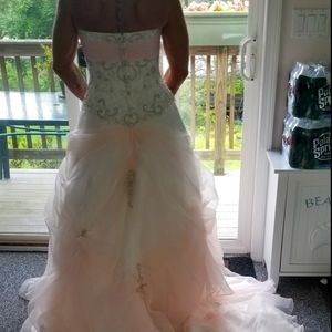 Elligant light pink wedding dress